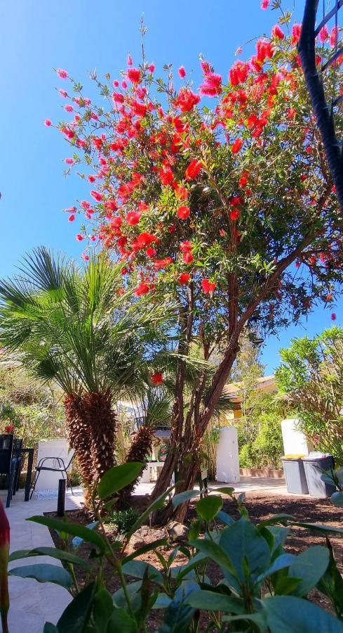 La Villetta Tre Palme Valledoria  Luaran gambar